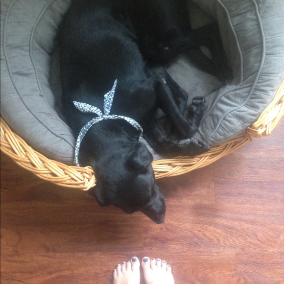 Meet your Poshers - Picture 5 of 6